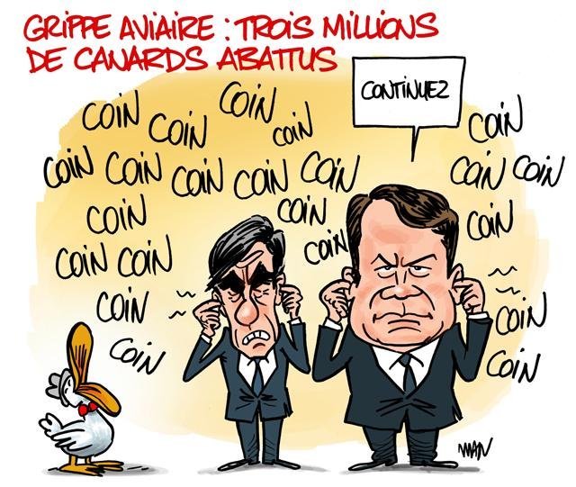Dessin de presse : Coin coin presse : Coin coin