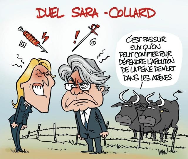 Dessin de presse : Sara-Collard presse : Sara-Collard