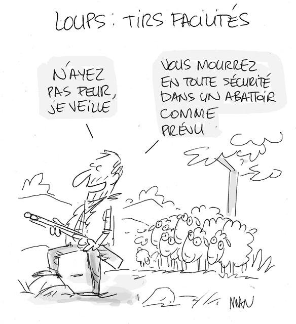 Dessin de presse : Loup presse : Loup