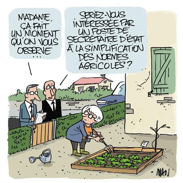 Dessin de presse : Normes presse : Normes