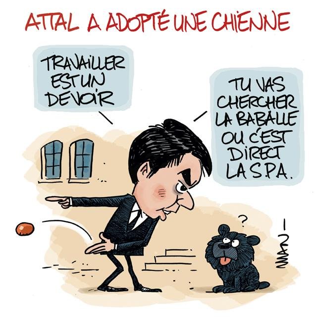 Dessin de presse : Attal baballe presse : Attal baballe