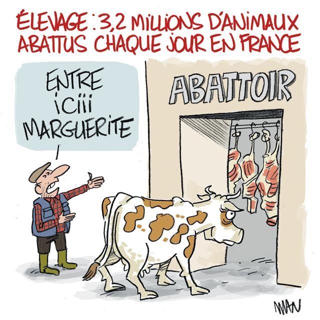 Dessin de presse : Abattoir presse : Abattoir