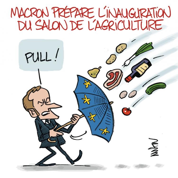 Dessin de presse : Pull! presse : Pull!